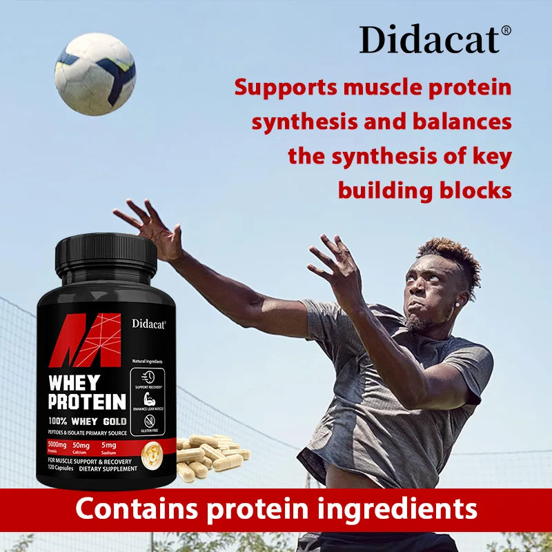 Whey Protein Capsule - Fuels Muscles for Productive Workouts