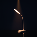 USB Rechargeable Reading Lamp